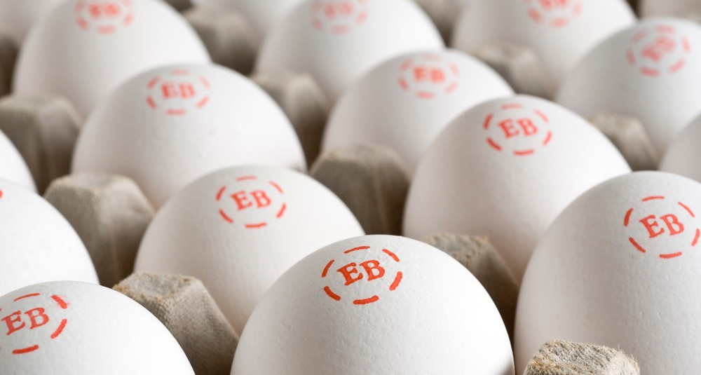 Eggland’s Best is headquartered in Cedar Knolls.