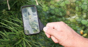 Beginning in the fall 2024 semester, Stockton University will become the first higher education institution in New Jersey to offer an undergraduate degree in cannabis studies.