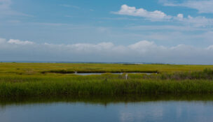 Shot overlooking NJ wetlands with blue skies, white clouds and an egret in the water