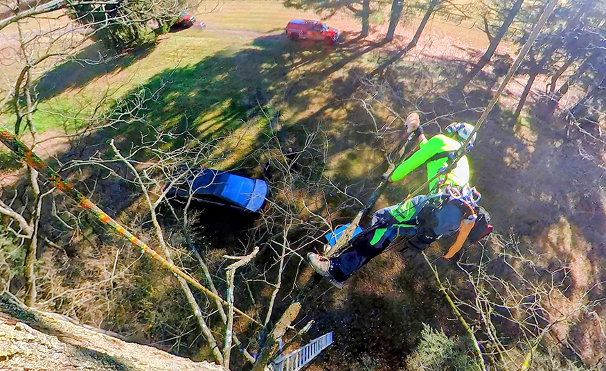 Steven Murrow, a licensed arborist from Pitman and the owner of Tesla Tree Service, uses his professional tree-climbing skills to retrieve cats stuck in tall trees – at no cost.