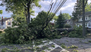 PSE&G shared photos of damage caused by severe storms July 3, 2026, around the state.