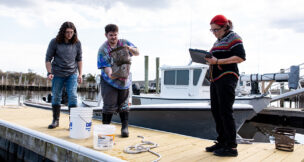 From left: Stockton Marine Science majors Alexander Wroblewski, a senior from Drexel Hill, Pa.; River Hammell, a senior from Wenonah; and Jess Taylor, a senior from Whiting, record fish monitoring data at the dock at Stockton’s Marine Field Station in Port Republic. PROVIDED BY SUSAN ALLEN/STOCKTON UNIVERSITY